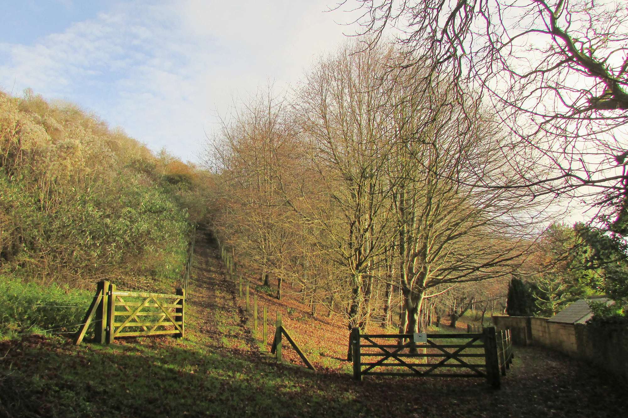 Two dirt paths split apart in the countryside next to a gate